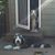 Wendi Nortman Paradise's profile image