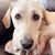 Lori Smith's profile image