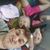 Chandon GirlFamily's profile image