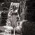 Michelle Jetter's profile image