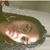 Brierra Tanae's profile image
