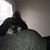 Sunny Zampogna-Simon's profile image