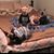 Jana Marie Cole's profile image