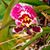 Brooke Stewart's profile image