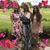Tracy VanBibber's profile image