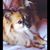 Tiffany Thornton's profile image