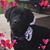 Kathy Swarr Hoffman's profile image