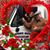 Donald LaRiviere's profile image