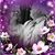 Melinda DeHaven-Jolin's profile image