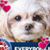 Patricia A. Guthrie Dimmitt's profile image
