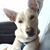 Christal Simpson's profile image