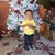 Heriberto Mario's profile image