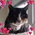 Jean Rutledge's profile image