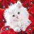 Hortensia Espinoza's profile image