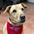 Beth Sloane's profile image