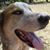 Ben B. White III's profile image
