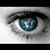 Dawn Ann's profile image