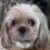 Dorothy Dillinger's profile image