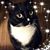 Deb Hendler's profile image