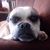 Amy Lutzke's profile image