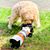 Mike Tedesco's profile image