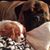Karen Laurence's profile image