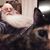 Basil Miller's profile image