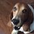 Donna Christen's profile image