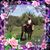 Sue Schiller's profile image