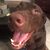 Michael Burnside's profile image