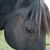 Deanna Sinclair's profile image