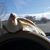 Pascual Noguez's profile image