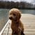 Barbara Licari Miller's profile image