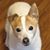 Sheila Scott's profile image