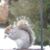 Diane Bergevin's profile image