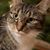PhilMeg Young's profile image