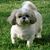 Jeri Rebar's profile image