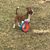 Jeff Pugh's profile image