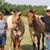 Cherie Kluender's profile image