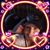 Shon Parker's profile image