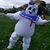 David Barnett's profile image