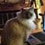 Kim Sieve-Fischbach's profile image