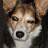 aj's profile image