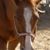 Brenda Walker's profile image