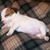 Stephanie Johanesen's profile image