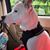 Kim M Farrar's profile image