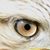 Per Smitterberg's profile image