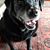 Paul Strumberger's profile image
