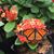 Donna Bailey's profile image