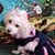 Reina JC's profile image
